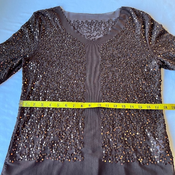 Irene Van RYB Mesh Sequin Pullover Top with Separate Matching Cami Liner - Picture 9 of 15